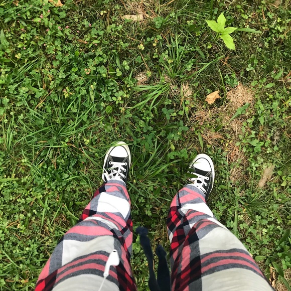 Meet your Posher, Alana - Picture 1 of 1